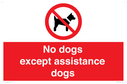 no-dogs-except-assistance-dogs~
